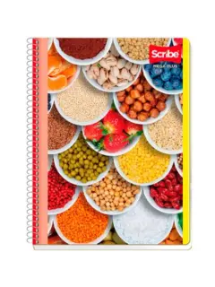 Cuaderno Scribe Esp Profesional Mega Plus C5 100H