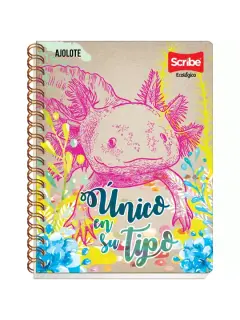 Cuaderno Scribe  Edo Profesional Ecologico C5 100H